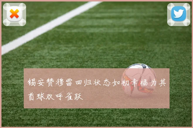 锡安赞穆雷回归状态如初幸福为其首球欢呼雀跃